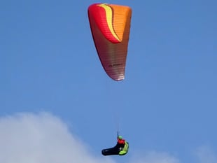 RSPB warns paragliders at Labrador Bay