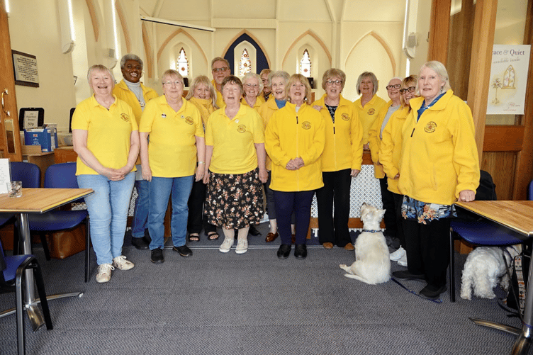 Sunflower group in Dawlish continues to blossom