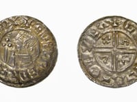 Ancient pennies come to Museum of Dartmoor Life