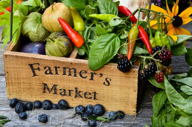 farmers market stock image