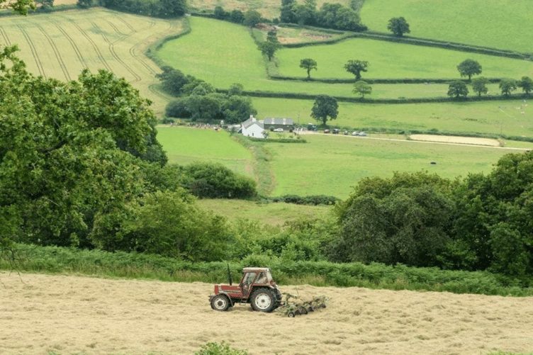 Devon County Show Preview
