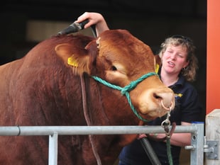 Acting show manager outlines what to expect at agricultural show 