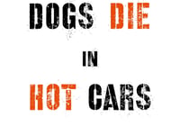 Dogs die in hot cars warn Newton Abbot police