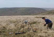 Can you help solve the mystery of Dartmoor's stone row?