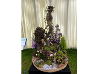 ICYMI: Flower club wins challenge trophy at county show
