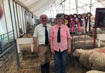 Wotton Farm’s Whitefaces win big