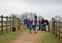 Mare and Foal sanctuary launches new open days