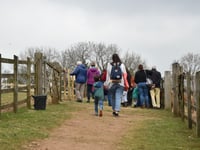 Mare and Foal sanctuary launches new open days