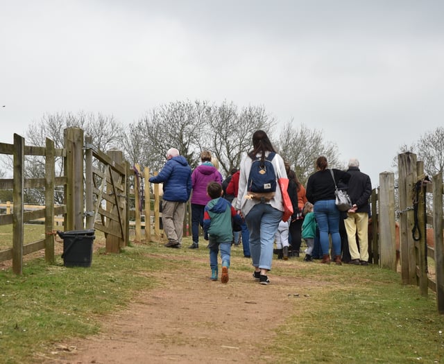 Mare and Foal sanctuary launches new open days