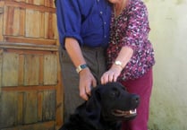 Bovey Tracey cuple’s search for missing dog