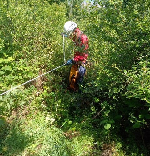 Devon Cave Rescue Organisation volunteers search for missing dog 