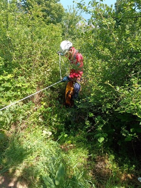Devon Cave Rescue Organisation volunteers search for missing dog 