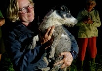 WATCH the moment firefighters rescue Spike the dog trapped in a sewer