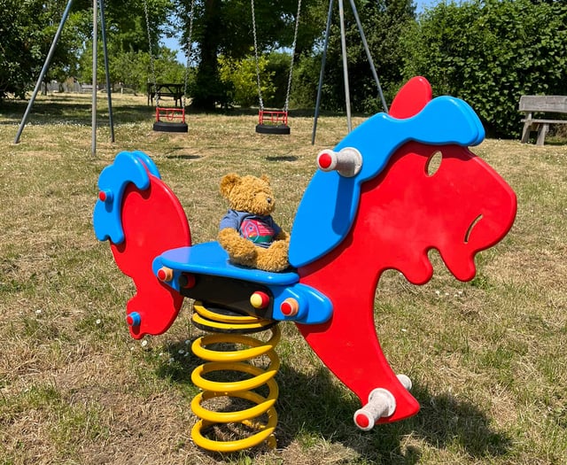 Parish council's hopes of play park revamp