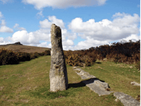 Driver sought after hit-and run-collision, Dartmoor