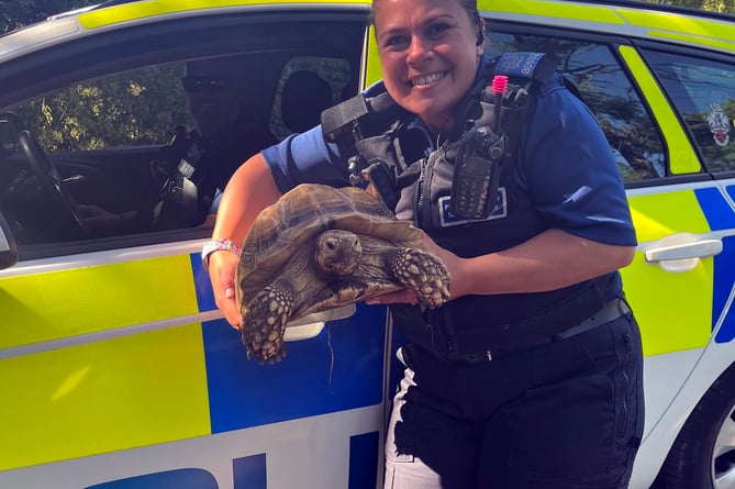 Teignmouth and Dawlish Police have posted this fabulous picture on their Facebook page.
They say: âWe hope you have a wonderful day! 
This is Darwin who is eight years old! 
âShe was being taken for a walk when we were passing #LetsHaveAGreatDay #LoveMyJob â
Picture: Teignmouth and Dawlish police (11-6-23)
