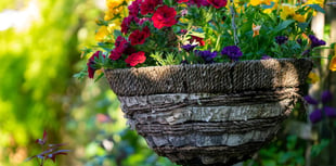 Town council invites residents to take part in floral competition 