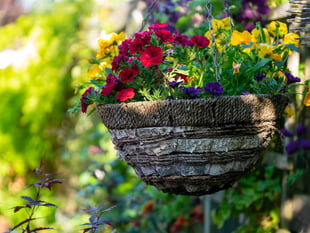 Town council invites residents to take part in floral competition 