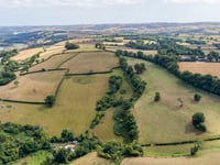 Devon to benefit from Atlantic rainforest recovery programme
