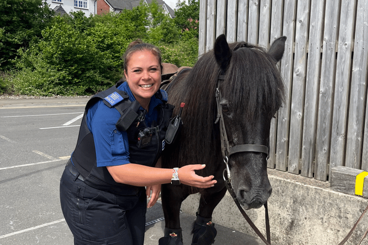 Dawlish PCSO with Bryher the horse outside Sainsbury's
