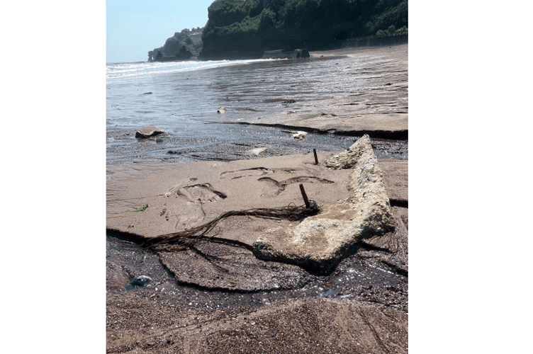 Tides reveal sharp spikes on Coryton Cove