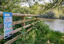 Mysterious signs along river Dart spell change for bathers