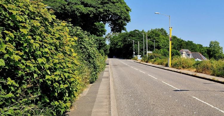 The new speed cameras near St Ann's Chapel