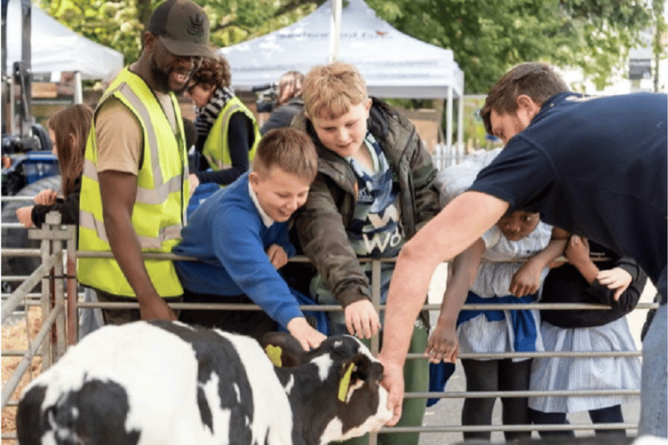 Meeting and greeting calves at the event.