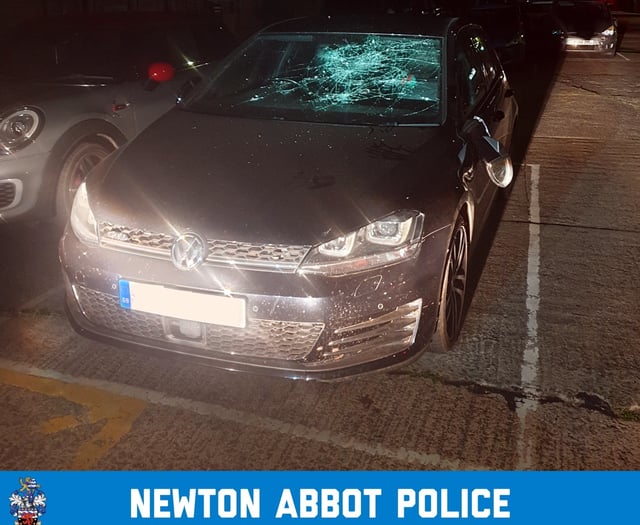 Man arrested after car windscreen smashed in Newton Abbot car park