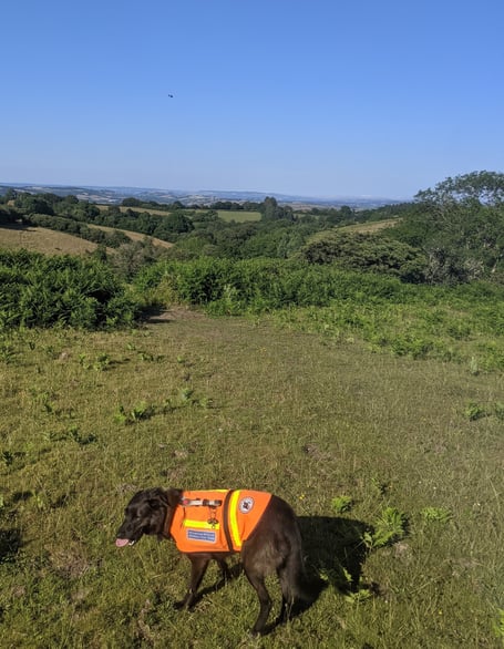 Dartmoor Search and Rescue