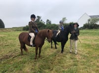 The Dartmoor Moorland Pony Show is back