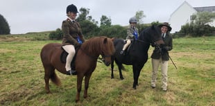 The Dartmoor Moorland Pony Show is back