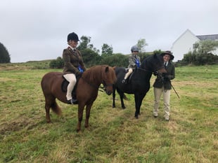 The Dartmoor Moorland Pony Show is back