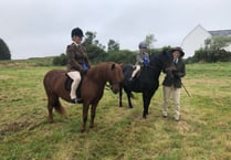 The Dartmoor Moorland Pony Show is back