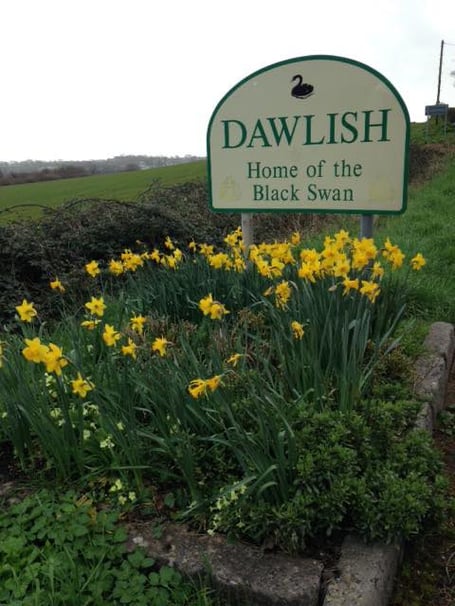 Last chance to enter Dawlish in Bloom