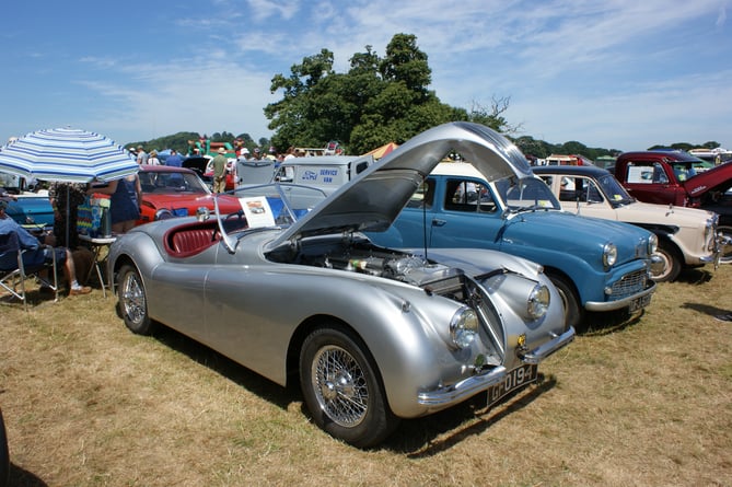 Classic vehicles on display at last year's Crashbox Classic Car Show