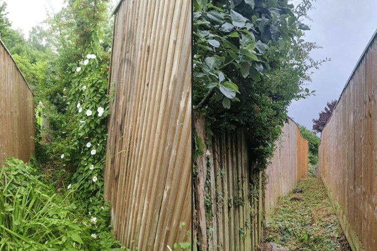 Newton Abbot Town Council's Facilities Maintenance Officers have cleared the footpath from Bowden Steps to upper Powderham Road