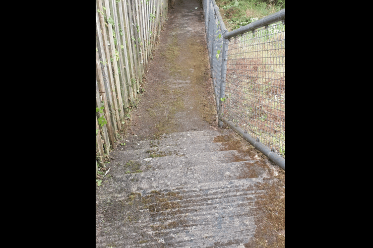 Newton Abbot Town Council's Facilities Maintenance Officers have cleared the footpath from Bowden Steps to upper Powderham Road