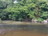 Strange brown liquid in River Teign 'permitted'