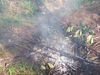 Narrow escape at Haldon prompts fire warning