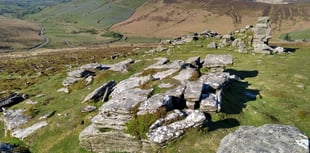 Green investment for Dartmoor estate