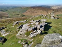 Green investment for Dartmoor estate