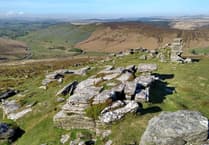 Green investment for Dartmoor estate