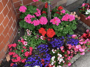 Green fingers at the ready for garden show 