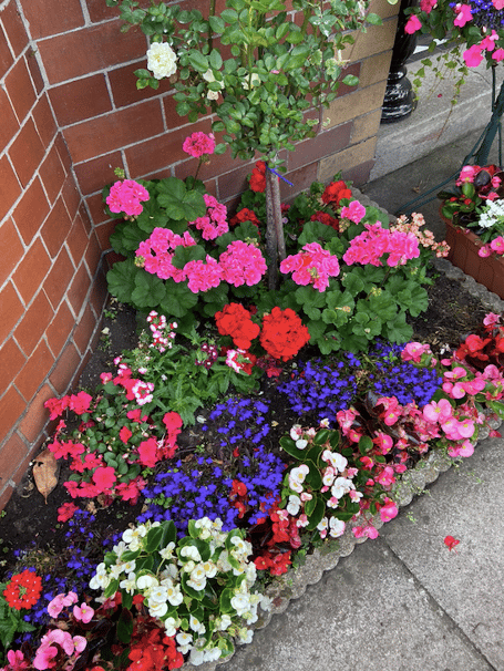 Flowers