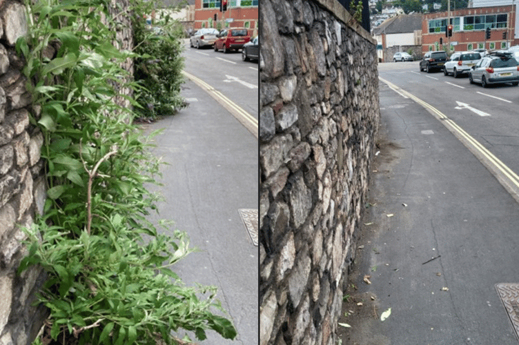 Weeds cleared on Halcyon Road by FMOs