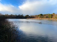 Stover Park celebrates 20 Green Flag Awards in a row