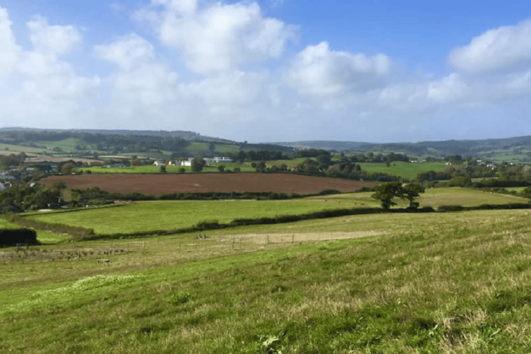 Barratt Homes holding public consultation to build 200 homes on land at Exeter Road, Dawlish