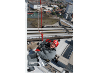 Dawlish daredevil Bernice is at it again!