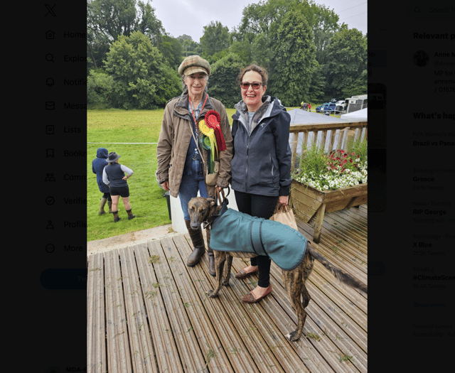 Village fête an 'excellent show' says Newton Abbot MP